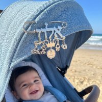סיכה לעגלה עם שם הילד דגם מלך 