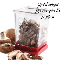 גביע SLICER