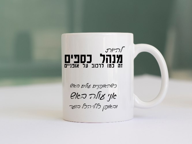 ספלים עם כיתוב מצחיק - מתנה למנהל הכספים