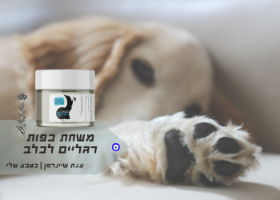 DOLITAI|משחת כפות רגליים לכלבים