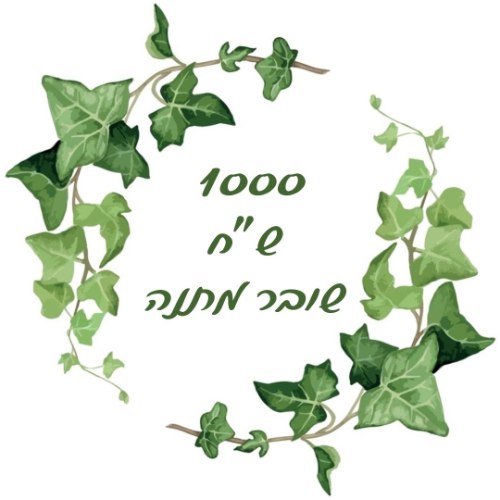 שובר מתנה דיגיטלי על סך 1000 ש"ח