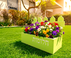אדנית חלומות