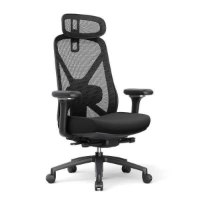 כיסא מנהלים Keisar Guardian – פריט בודד של כיסא מנהלים שחור עם גב רשת מוצג על רקע לבן
