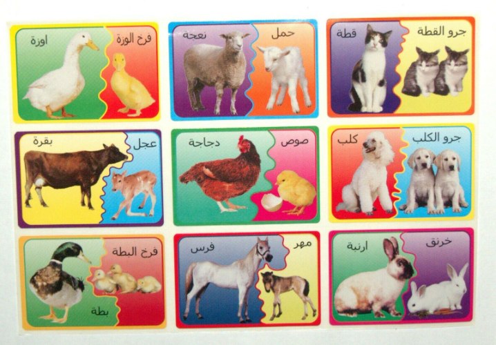 מדבקות לימוד ותרגול ערבית בעלי חיים וגורים ילדים מורות גננות 36 מדבקות בחבילה
