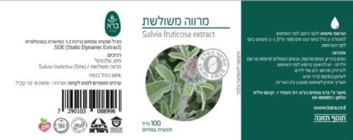 מרווה משולשת | Salvia fruticosa