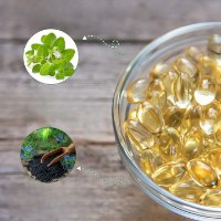 תוסף תזונה OIL OF OREGANO טבליות ג'ל להרזיה, ריפוי מערכת העיכול והגוף ושיפור איכות החיים