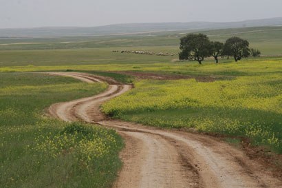 השביל הזה מתחיל כאן