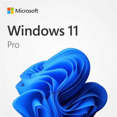 Windows 11 Pro 64 Bit Hebrew USB Retail