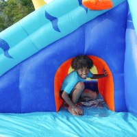 מתנפח מים עם מגלשה דו מסלולית נחש W83050 מבית Doctor Dolphin