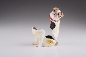 white bulldog dog
