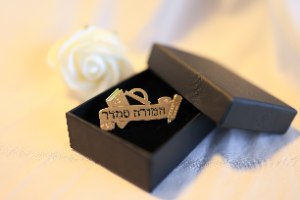 סיכת דש מורה