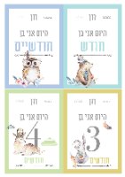 גלויות לתיעוד השנה הראשונה של התינוק
