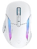 לבן - עכבר גיימינג אלחוטי Turtle Beach Kone II Air