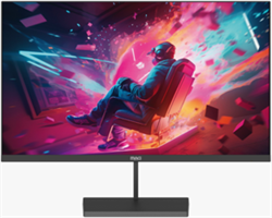 MAG 23.8" Flat Led Monitor, 100Hz D24F100SP