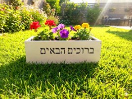 אדנית בלבן