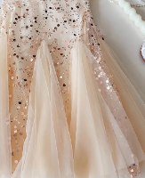 Champagne Tulle