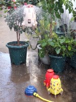משחק מים לילדים SplashUp