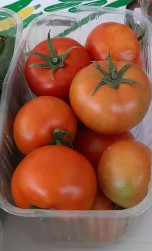 קופסה עגבניות