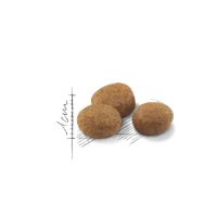רויאל קנין סטרילייזד 7+ לחתול 3.5 ק"ג