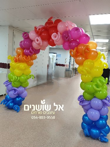 עיצוב קשת בלונים עם קישוטי תלתלי בלון