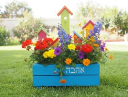 אדנית אהבה