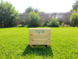 אדנית אושר