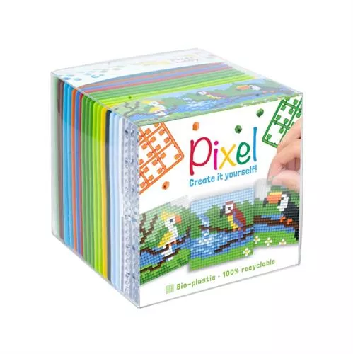 קיט תוכים - 3 תבניות 6/6 ס"מ | פיקסל הובי