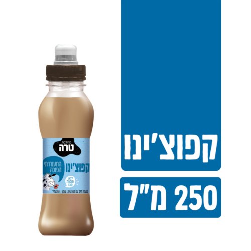 קפוצ'ינו משקה חלב עם קפה, 250 מ"ל