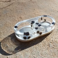 פמוט שקוף כפול לנרות שבת במילוי פולי קפה – עיצוב אלגנטי מאפוקסי בעבודת יד