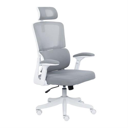 כסא משרדי ארגונומי Dragon Smart Tech R40 לבן אפור