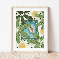 צביעה לפי מספרים - חלום קיץ