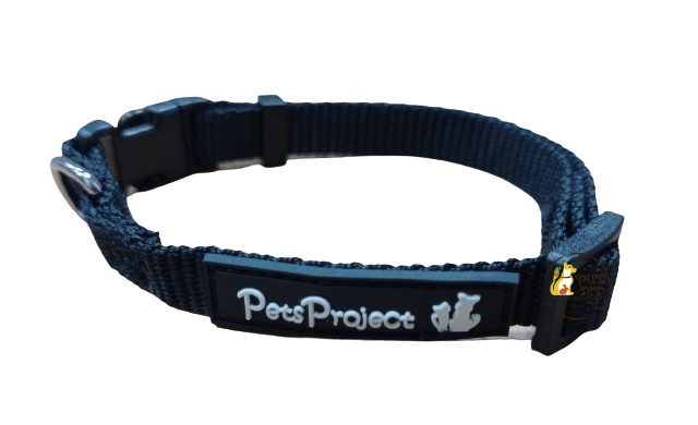 קולר בייסיק מידה XS - פטס פרוג'קט PetsProject