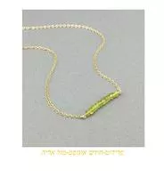 שרשרת פרידוט