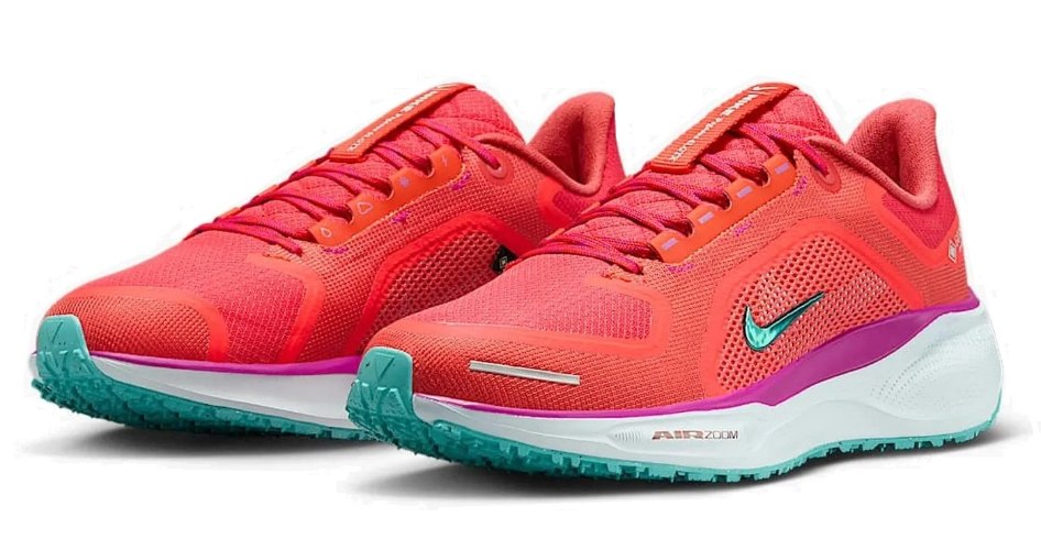 נעלי נייק Nike Pegasus Gore Tex אדום כחול
