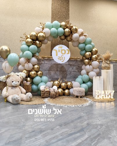 עיצוב חישוק בלונים לברית מנטה