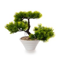 עציץ בונסאי 18*25 ס"מ
