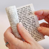 קלף גודל 7 ס"מ