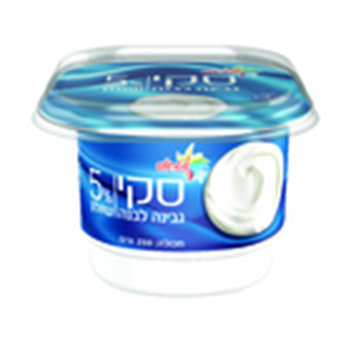 סקי גבינת לבנה 5%, 250 גרם | שטראוס