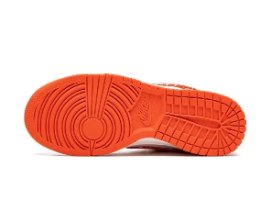 Nike Dunk Low - "Paisley" sneakers