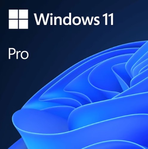 Win Pro 11 64Bit Hebrew DVD