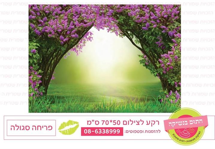 רקע לצילום פריחה סגולה