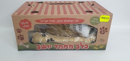 כלב מחמד יושב