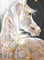 "Sacred Geometry Hourse" תמונת קנבס מעוצבת של סוס עם אלמנט גיאומטרי| הדפס מתוח מוכן לתליה