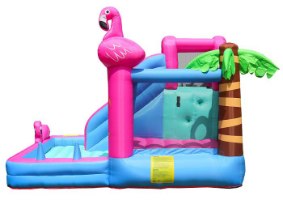 מתנפח קפיצה פלמינגו D72044 מבית DOCTOR DOLPHIN