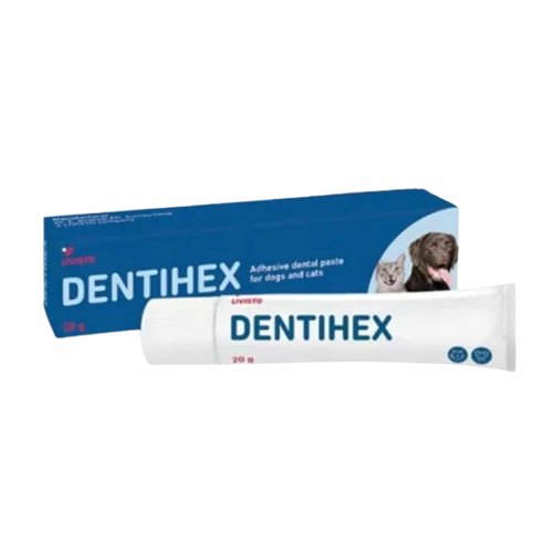 Dentihex Adhesive Dental Paste for Dogs & Cats 20g