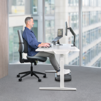 כרית לגב Cushion Back Comfort Breyta