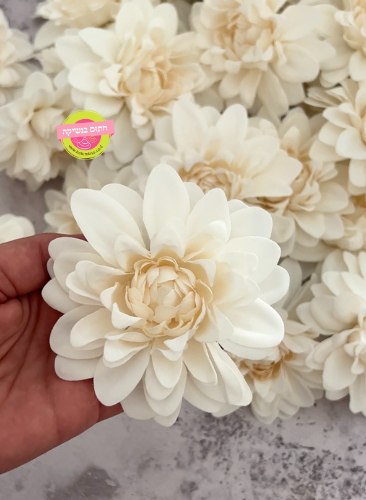 פרח משי פתוח (דליה) צבע לבן - 3 יחידות