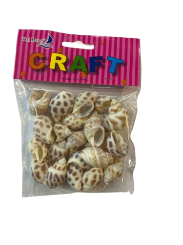 ארט קונכיות מנוקדות