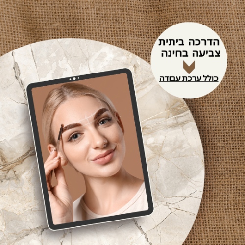 צביעת גבות בחינה כולל ערכה והדרכה ביתית