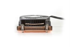 קירור אוויר לשרת – Dynatron R25 1U NARROW